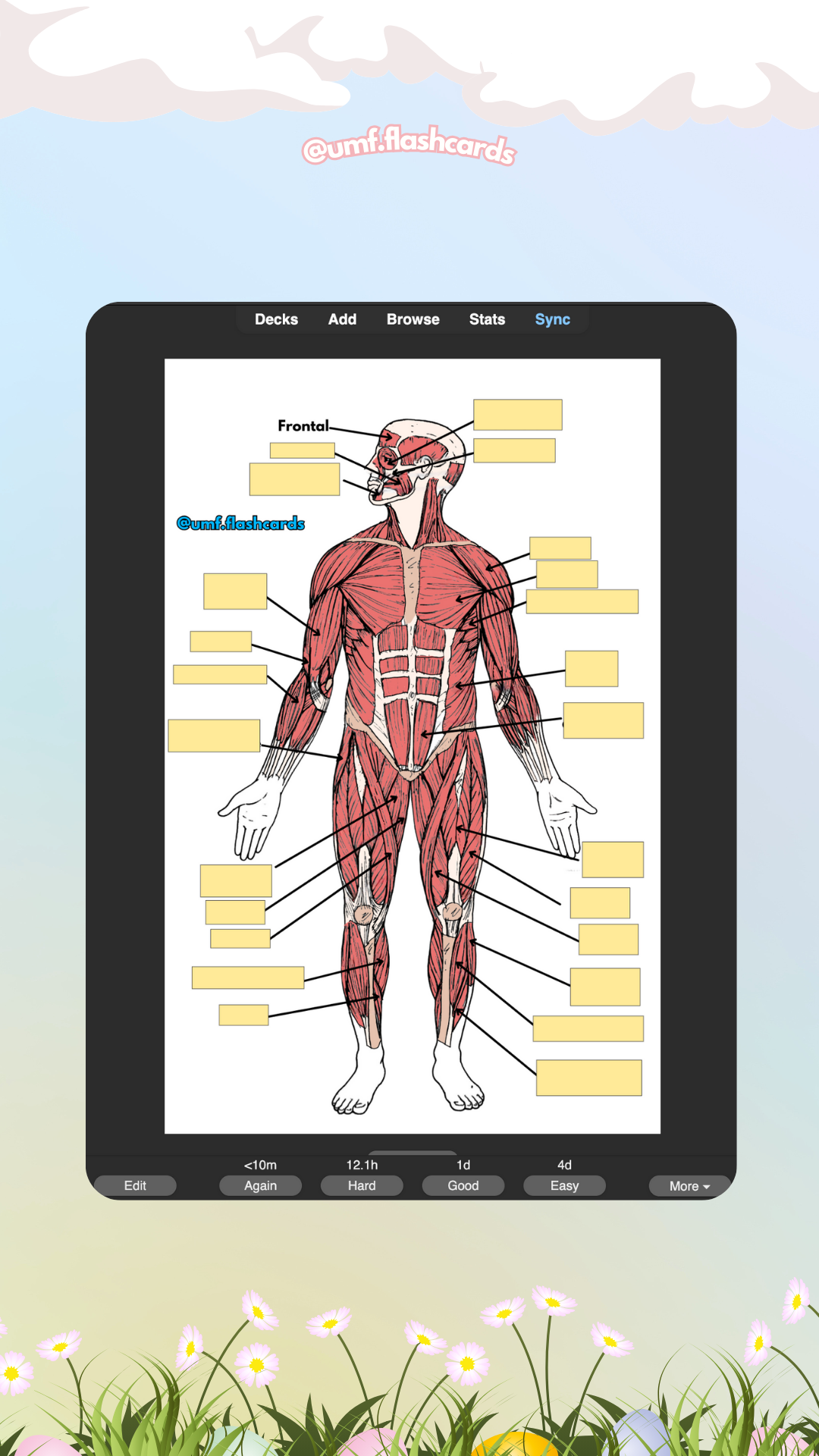 Flashcard-uri Digitale Barron's - 1 Capitol la Alegere