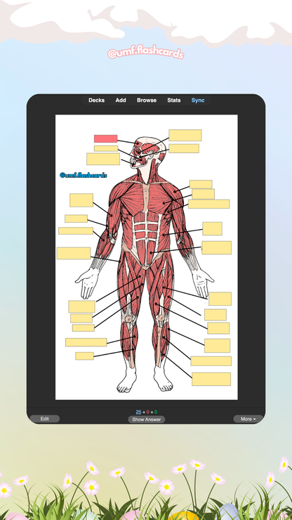 Flashcard-uri Digitale Barron's - 1 Capitol la Alegere